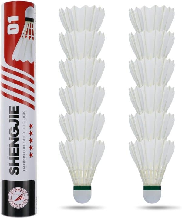 Philonext Badminton volani recensione